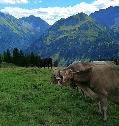  Landschaftsfoto 